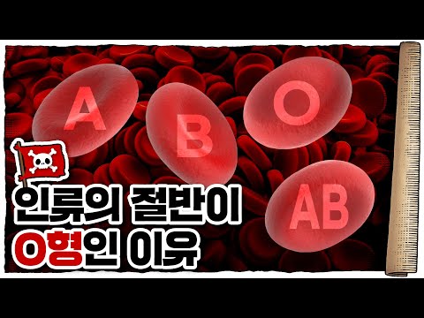 ? 나라마다 혈액형?️?️?️ 비율이 다르다고? / ? 혈액형은 왜, 어떻게 존재하는 걸까?