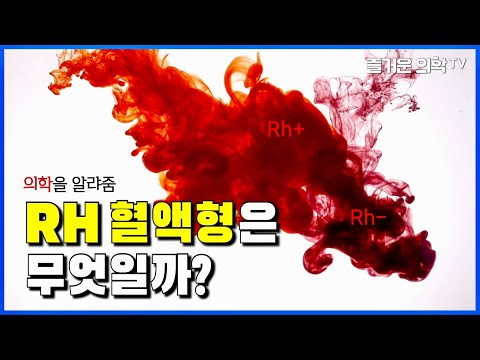 RH 혈액형은 무엇일까요?