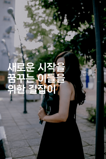 새로운 시작을 꿈꾸는 이들을 위한 길잡이-꿈꾸미