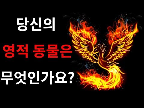 당신의 영적 동물은 무엇인가요? 성격 테스트