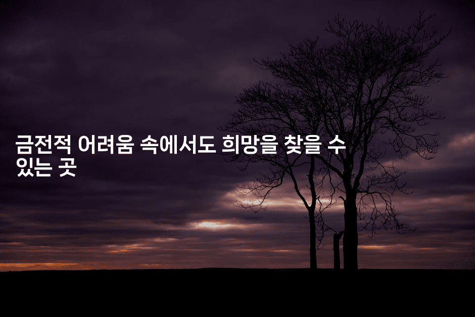 금전적 어려움 속에서도 희망을 찾을 수 있는 곳-꿈꾸미