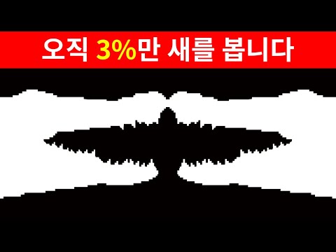 여러분이 얼마나 독특한지를 보여주는 착시 성격 테스트