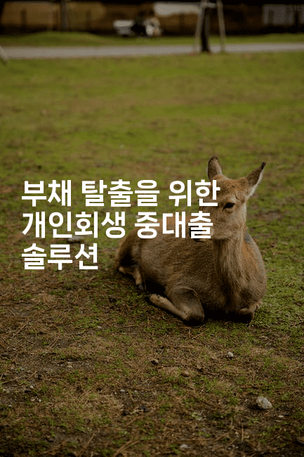 부채 탈출을 위한 개인회생 중대출 솔루션