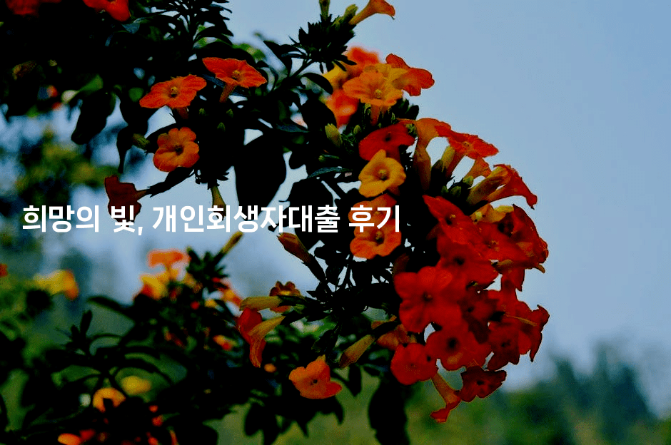 희망의 빛, 개인회생자대출 후기-꿈꾸미