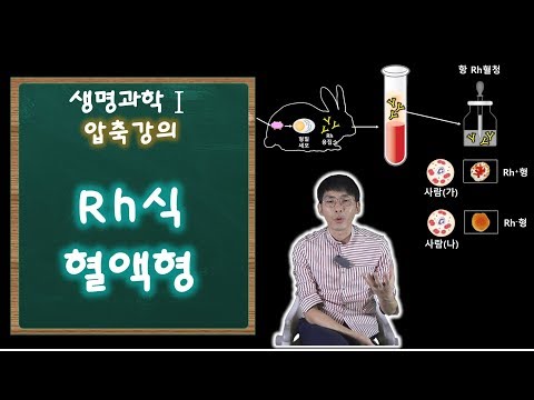 2021 생명과학Ⅰ 압축강의-Rh식 혈액형│[주원스쿨]