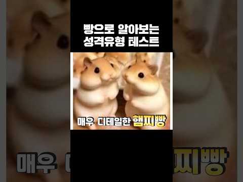 빵으로 보는 성격 테스트