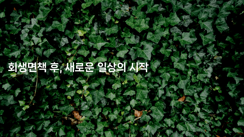 회생면책 후, 새로운 일상의 시작-꿈꾸미