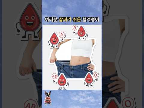 살찌기 쉬운 혈액형이 정해져있다고?!