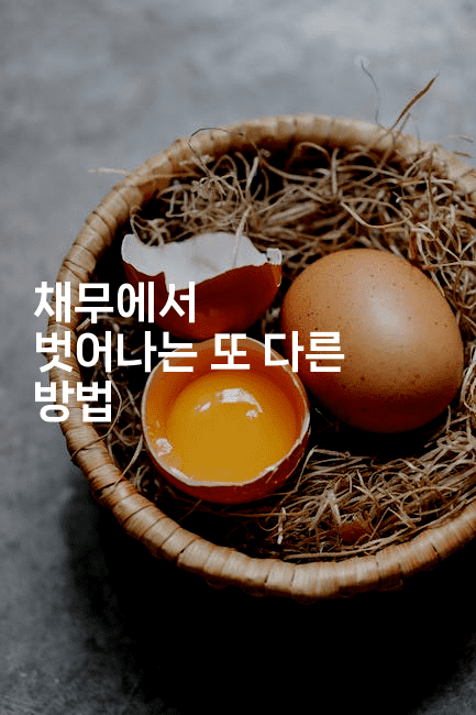 채무에서 벗어나는 또 다른 방법-꿈꾸미