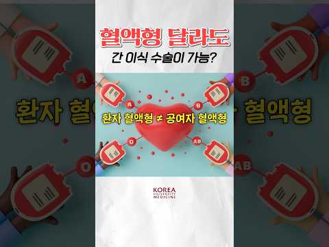 혈액형이 달라도 간 이식 수술이 가능한가요? [암팩트🍄]