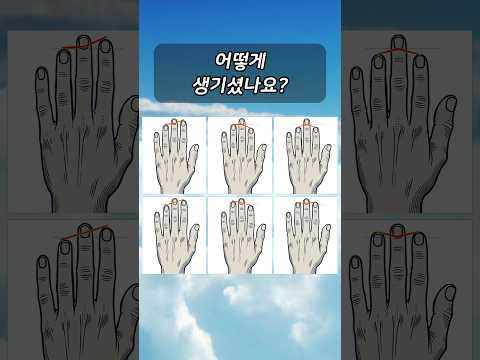 손가락 모양으로 다 알수 있다고 해요 #손가락모양 #성격테스트 #퀴즈